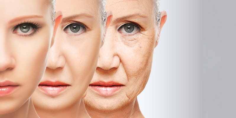 longevidad y envejecimiento