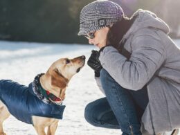 Proteger de frío a mascota en invierno